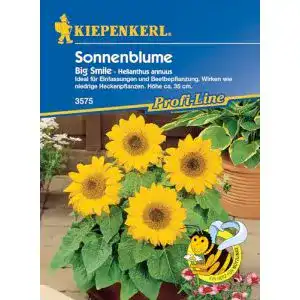 Sonnenblumen-Samen Kiepenkerl Helianthus annuus Big Smile