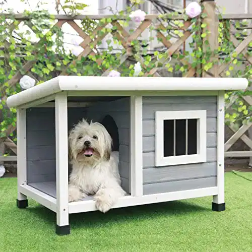 Hundehütte aus Massivholz mit Balkon für kleine Hunde
