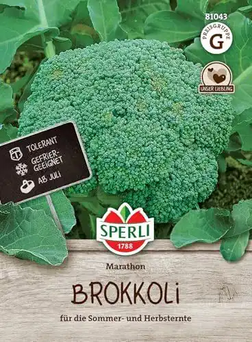 Brokkoli Samen Sperli 81043 für Sommer- und Herbsternte