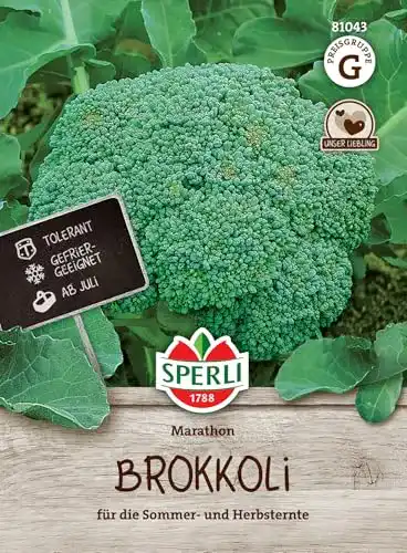 Brokkoli Samen Sperli 81043 für Sommer- und Herbsternte