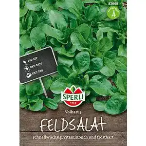 Feldsalat Samen Sperli 82668 Vollhart 3 Winterharte Sorte für den Garten
