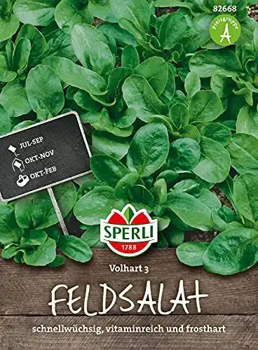 Feldsalat Samen Sperli 82668 Vollhart 3 Winterharte Sorte für den Garten