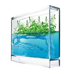 Ameisenfarm Monsterzeug Gel Ökosystem für Terrarien und Antquarien