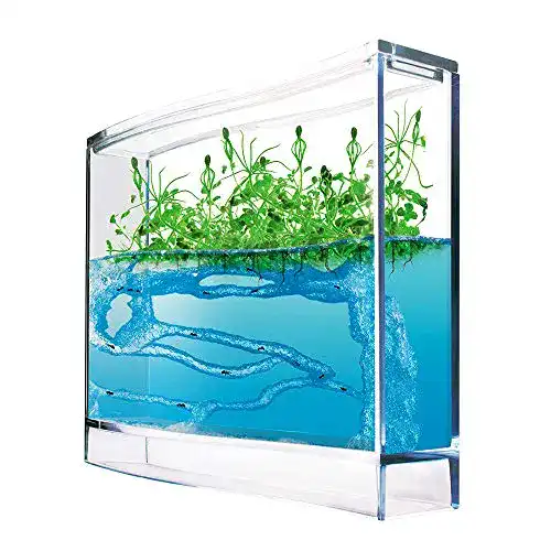 Ameisenfarm Monsterzeug Gel Ökosystem für Terrarien und Antquarien