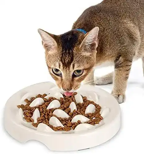 Anti-Schling-Napf für Katzen und Hunde von Lionwei