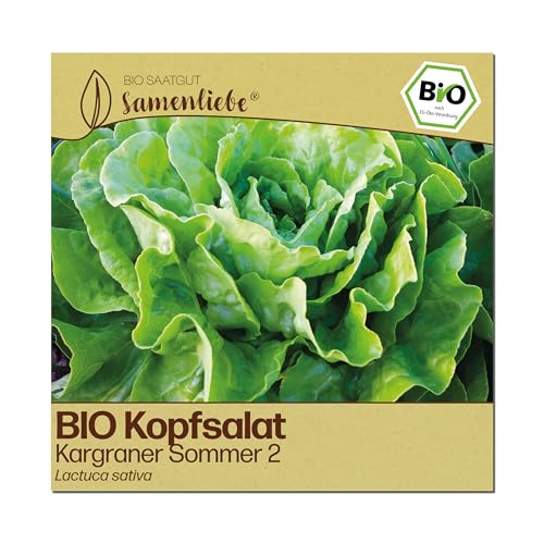 BIO Kopfsalat-Samen Kargraner Sommer 2 von Samenliebe