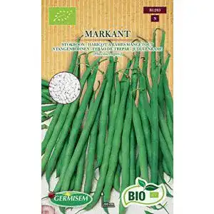Stangenbohnen Samen Germisem Bio 80g für den Anbau