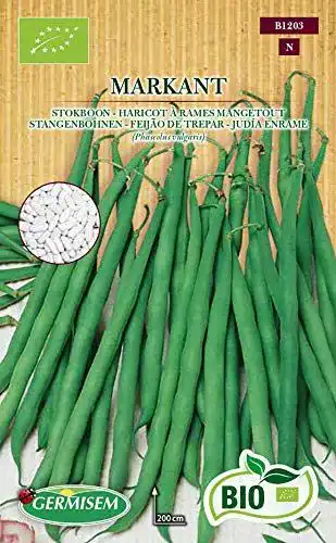 Stangenbohnen Samen Germisem Bio 80g für den Anbau