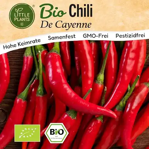 BIO Chili Samen De Cayenne von Little Plants – 15 Samen für den Garten