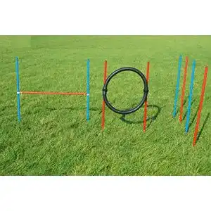 Wuzzmann Agility-Beginner-Set in Rot und Blau