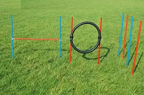 Wuzzmann Agility-Beginner-Set in Rot und Blau