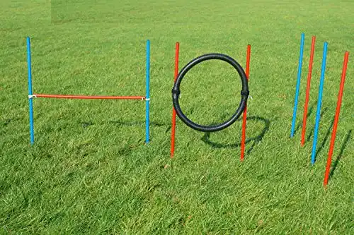 Wuzzmann Agility-Beginner-Set in Rot und Blau