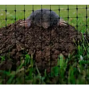 Maulwurfnetz Excolo 200 m² (200m x 1m) für effektiven Schutz im Garten