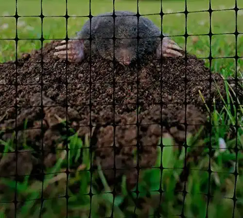 Maulwurfnetz Excolo 200 m² (200m x 1m) für effektiven Schutz im Garten