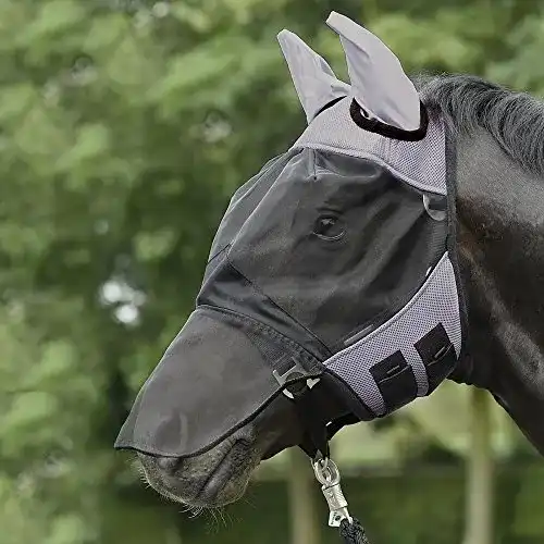 Fliegenmaske für Pferde von Busse – Modell Fly Cover Pro