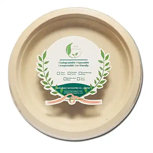 Zuckerrohr Einwegteller BOFA Eco Tableware 20 Stück rund