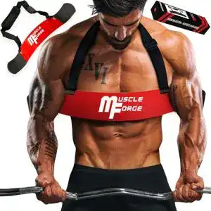 MuscleForge Bizeps-Trainer für optimale Isolierung der Armmuskeln