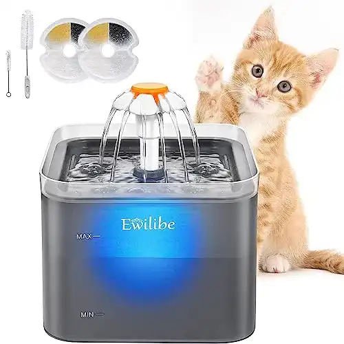 Ewilibe Trinkbrunnen für Katzen 2L mit leiser Pumpe und Filter