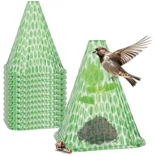 Pflanzenhut Com-Four 12x Sonnenhut für Pflanzen – Pflanzenschutzhaube