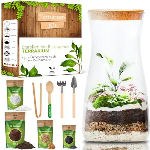 Flaschengarten PYEF Crafts Komplettset für Terrarium-Gestaltung