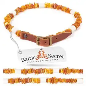 Keramik-Halsband für Hunde mit Bernstein und EM Technologie