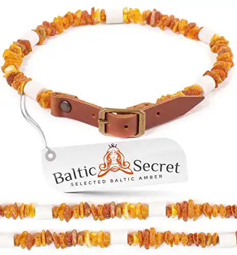 Keramik-Halsband für Hunde mit Bernstein und EM Technologie