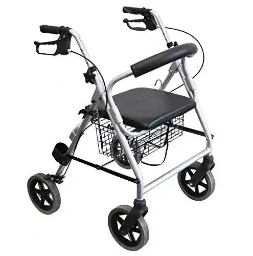 Leichtgewichtrollator Trendmobil LR 56 mit Korb und PU-Bereifung