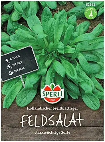 Feldsalat Samen Sperli Premium Holländischer