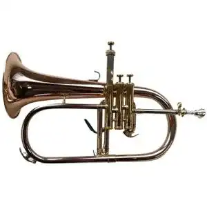 Flügelhorn Symphonie Westerwald Konzert in B aus Goldmessing
