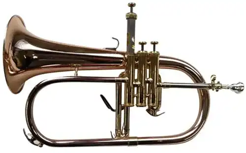 Flügelhorn Symphonie Westerwald Konzert in B aus Goldmessing