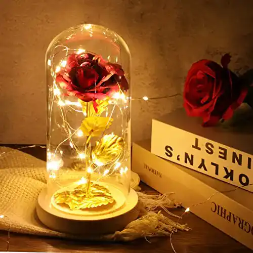 Ewige Rose im Glas mit LED-Licht für Frauen als Geschenk