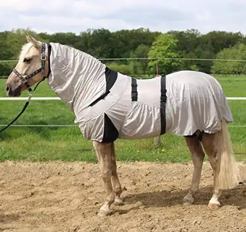 Ekzemerdecke für Pferde – Hafer24 leichte Fliegendecke