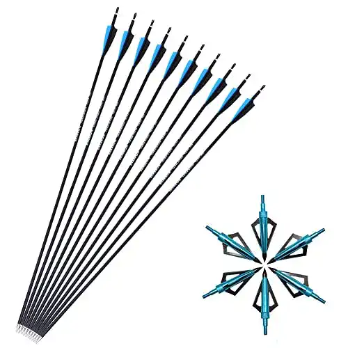 Carbonpfeile Sharrow 12x 30 Zoll für Jagd und Training