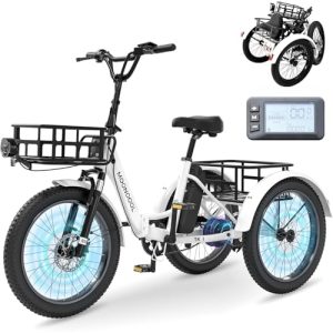 E-Bike Dreirad Mooncool für Erwachsene mit 250 W Motor und herausnehmbarem Akku