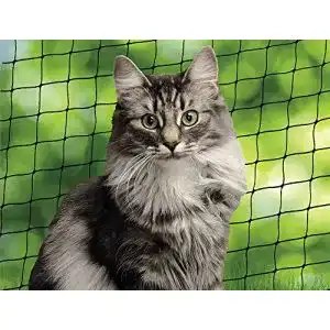 Katzennetz Nobby Katzenschutznetz, schwarz, Größe S, 2 x 3 m