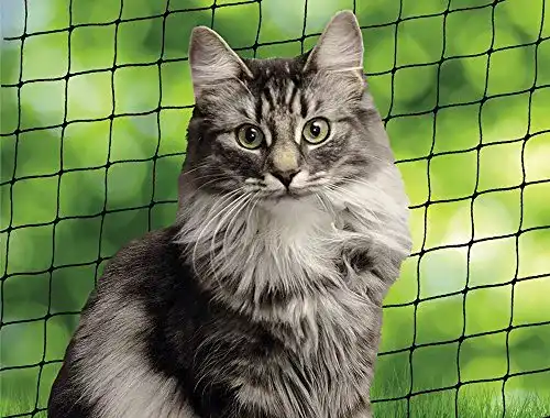 Katzennetz Nobby Katzenschutznetz, schwarz, Größe S, 2 x 3 m