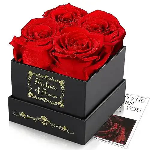 Rosenbox Doerfeell – Ewige Rose für Geschenke zu verschiedenen Anlässen