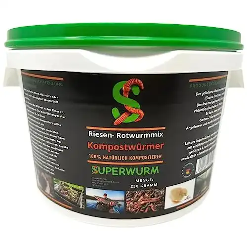 Kompostwürmer Superwurm Kompostwurm-Mix 250g mit ca. 300 Stück