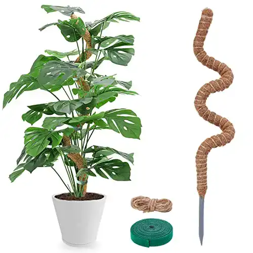 Moosstab Yogingo für Monstera – 120 cm flexible Pflanzenstütze