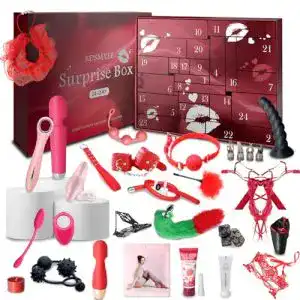 Erotik-Adventskalender Bdsmyee 2025 für Paare mit 24 Sexspielzeugen