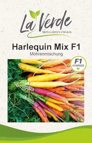 Möhren-Samen Harlequin von La Verde für bunte Möhrenzucht