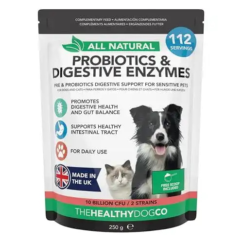 Darmsanierung Hund The Healthy Dog Co – Probiotika für Hunde