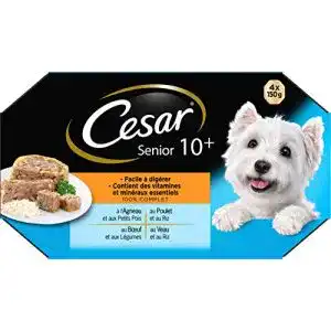 Cesar Hundefutter: Praktische Schalen für die tägliche Fütterung