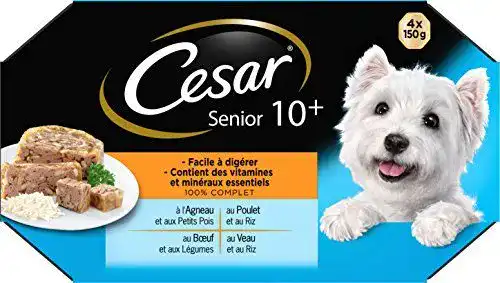 Cesar Hundefutter: Praktische Schalen für die tägliche Fütterung
