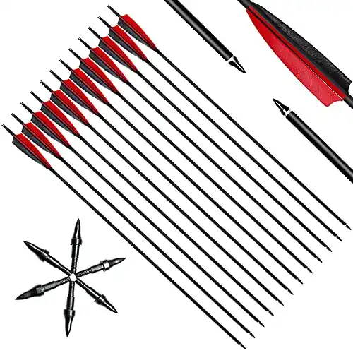 Deweey Carbonpfeile 12er Pack 31 Zoll für Bogen und Bogenschießen