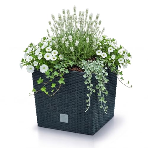 Blumentopf Prosperplast quadratisch in Rattan-Optik mit 64 Litern