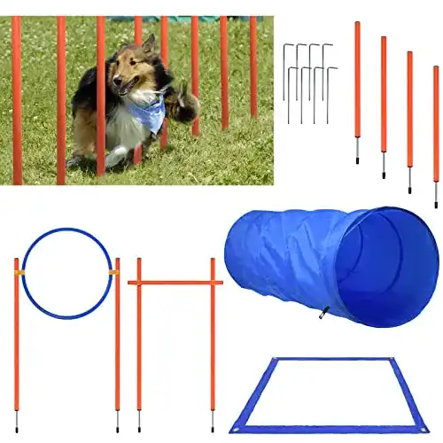 Agility Geräte Set für Hunde mit Tunnel und Hürden für Training