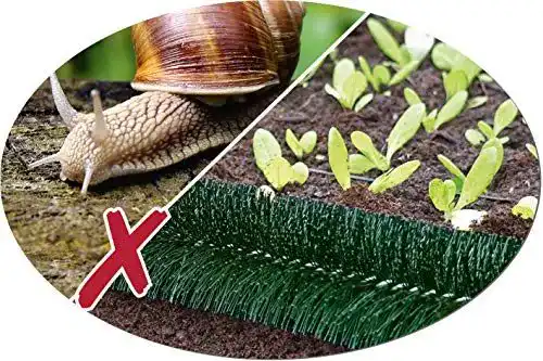 Schneckenzaun in Grün für effektiven Schutz im Garten