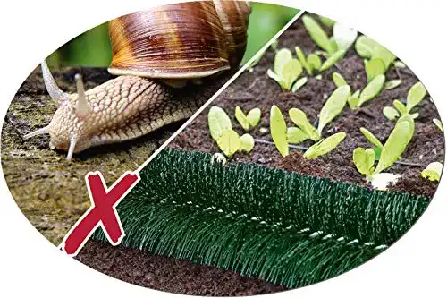 Schneckenzaun in Grün für effektiven Schutz im Garten