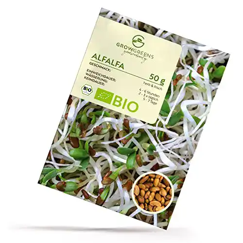 Alfalfasprossen BIO Alfalfa Sprossen Samen 50g